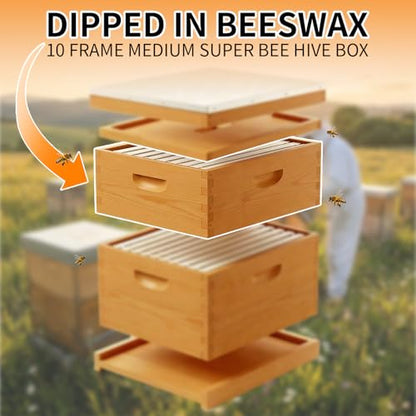 2 Pack 10 Frame Langstroth Medium Super Bee Box Dipped in Beeswax Beehive Box for Beekeeping Supplies - size: 2 Pack Medium Super Bee Box