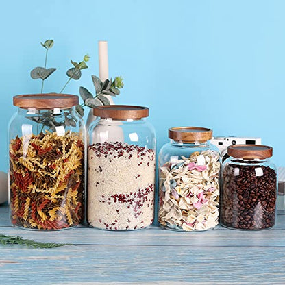 LEAVES AND TREES Y 1 Gallon Glass Jar with Airtight Lid and Anti-Skid Bottom for Dry Food Storage