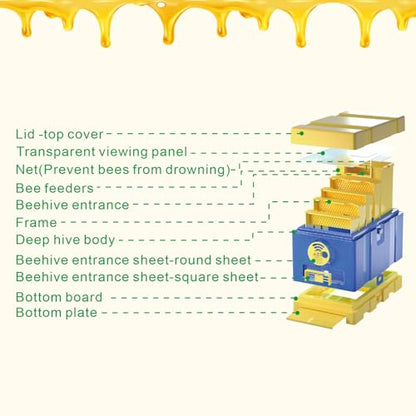 Queen Nuc Box Bee Mating Nuc Hive Bee House Mini Bee Hives Box Queen Rearing Box for Beekeeping (Blue)