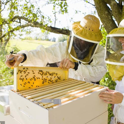 Kisangel Stainless Steel Hive Scraper and Beekeeper Tool for Beehive Cleaning with Curved Edge, Multifunctional Beekeeping Scraper and Frame Lifter for Apiary Maintenance
