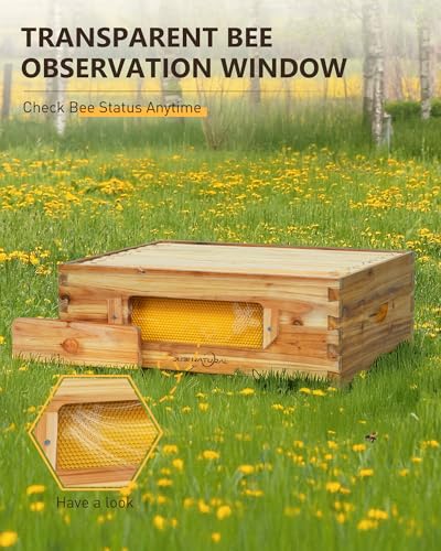 10-Frame Langstroth Medium Super Bee Hive Box with Frames | Medium honey super with 10 frames, foundation, beeswax-coated cedar box, and observation window for hive expansion - size: Medium Bee Box