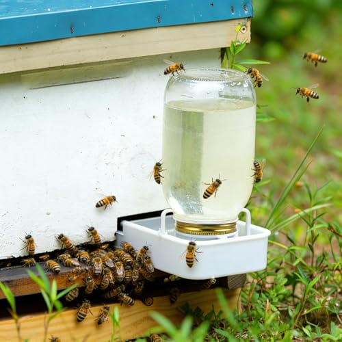 Bee Water Dispenser,4pcs Metal Mason Jar Lid Beehive Water Honey Bee Canning Feeders Beekeeper Tools Drinking Beekeeping Equipment