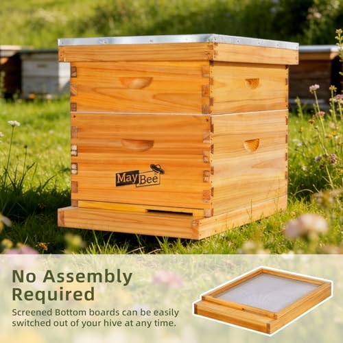 MayBee 8 Frame Screened Bottom Board Bee Hive Bottom Board - 100% Beeswax Dipped Solid Wood Base with Entrance Reducer & Ventilation, Durable Beekeeping Supplies for Langstroth Beehives - color: 8 frame board