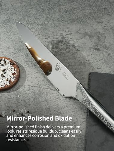All Steel Chef Knife with Mirror Finish Blade, 8 inch German 1.4116 Steel Kitchen Knife, Anti-Slip Handle, Lightweight Cutting & Cooking Knife for Meat, BBQ & Daily Kitchen Use - style: All Steel Chef Knife