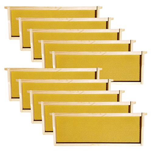 Hoover Hives - Medium Frames & Foundations (40 Pack) - Langstroth Beehive Wooden Frames, Natural Honey Colored Food Grade Plastic Foundations Dipped in Natural Beeswax