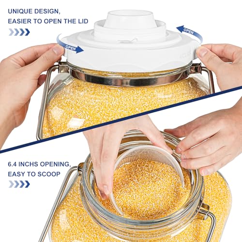 Daitouge 5 Gallon Large Fermentation Jars, Pickle Jar, Wide Mouth Airtight Glass Jar with Scale Mark, Glass Water Jug with Stainless Handles for Pickling, Brewing, Dry Storage