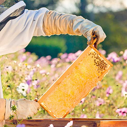 Lehman's Stoney Acres Beekeeping Beehive Box, 8 Frame Medium Assembled Super or Brood Honeybee Hive Box, Amish Made
