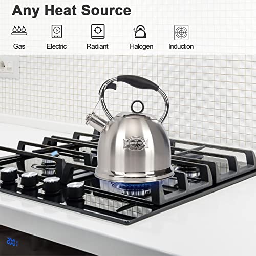 Tea Kettle for Stovetop, Food Grade Stainless Steel Water Kettle, Tea Pot for Home & Kitchen, 3.0 Qt - color: Silver