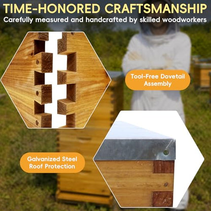 10-Frame Langstroth Bee Hive Beeswax Coated, Complete 4-Layer Beehive Starter Kit Includes 2 Deep Brood Boxes and 2 Medium Super Boxes with Bee Frames and Foundations - size: 4-Layer