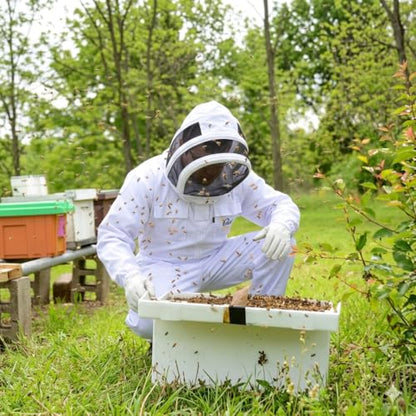 Bee Suit with Fencing Veil One Pair Gloves Polycotton Sting Proof Beekeeping Suit for Beekeeper - color: White, size: 3X-Large