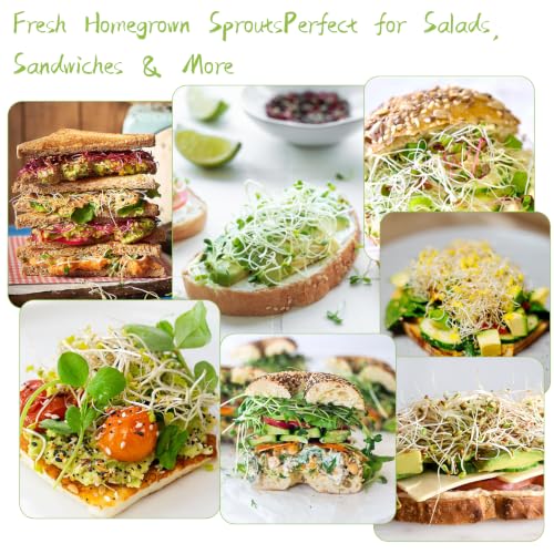 Seed Sprouting Kit - 2×32 Oz Wide-Mouth Mason Jars with Sprouter Lids, Stand, Sprout Tray & Light Shield, for Broccoli, Alfalfa, Mung Beans & Microgreens (Yellow + Green + Green Onion Regrower) - color: Yellow + Green + Green Onion Regrower
