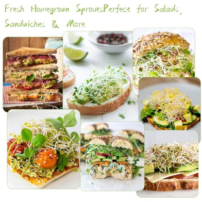 Seed Sprouting Kit - 2×32 Oz Wide-Mouth Mason Jars with Sprouter Lids, Stand, Sprout Tray & Light Shield, for Broccoli, Alfalfa, Mung Beans & Microgreens (Yellow + Green + Green Onion Regrower) - color: Yellow + Green + Green Onion Regrower