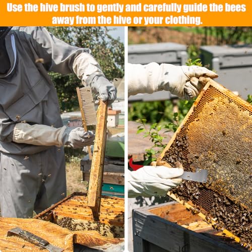 PEUTIER 2pcs Bee Hive Brush and Bee Hive Scraper Set, Metal J Hook Bee Hive Tool Hive Frame Lifter Gripper Bee Brush with Wooden Handle Beekeeping Supplies Equipment for Bee Keepers