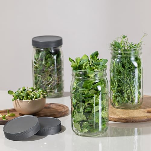 Wide Mouth Mason Jars 32 oz [2-Pack] with Airtight Lids – Glass Meal Prep Jars for Salads, Overnight Oats & Food Storage | BPA-Free Leak-Proof Lids - size: 32 oz
