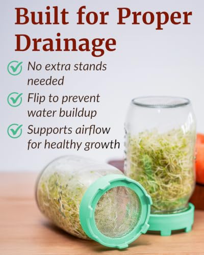 Elementi Sprouts Growing Kit for Wide Mouth Mason Jars, Set of 2 Sprouting Lids for Organic Alfalfa & Mung Bean Sprouts Grow Kit, 316 Stainless Steel Mesh Screen Strainer Lid (Sage Green) - color: Oat Cream