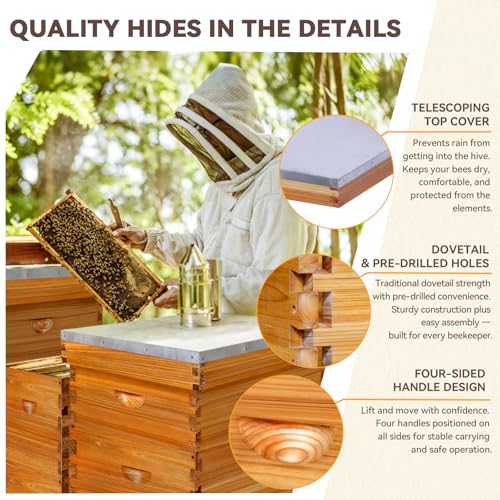 10-Frame Langstroth Bee Hive,4 Layers Beeswax Coated Beehive Kit Includes 2 Deep Brood Hive Boxes and 2 Medium Super Bee Box with Beehive Frames and Foundations for Beekeeper - size: 4 Layers