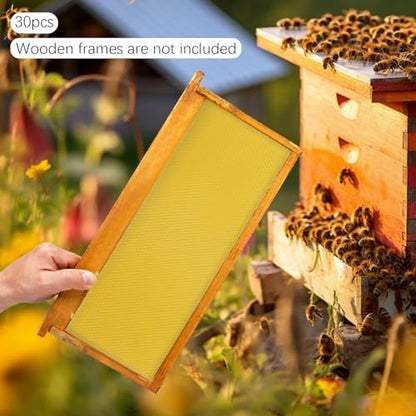 Bee Hive Foundation Sheets 30 Pack, Deep Hive Foundation Sheets 30 Pack, Natural Beeswax Sheets with High Acceptance, Beekeeping Supplies for Efficient Honeycomb Building