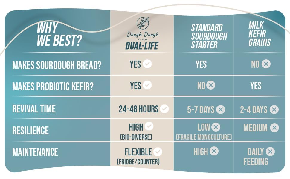 Sourdough & Kefir Starter Culture: All-In-One – Dual Life 24-Hour Rapid Fermentation – Makes Bread & Probiotic Milk – All-Natural, Active Live Cultures