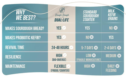 Sourdough & Kefir Starter Culture: All-In-One – Dual Life 24-Hour Rapid Fermentation – Makes Bread & Probiotic Milk – All-Natural, Active Live Cultures