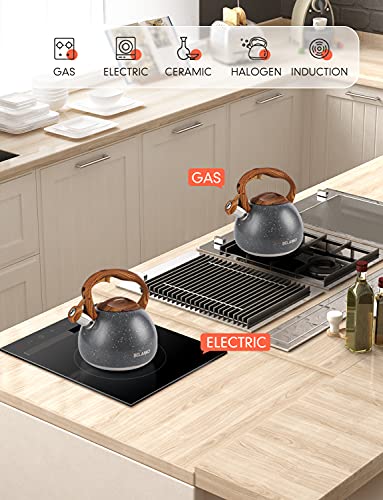 BELANKO 2.7 Quart Tea Kettle for Stovetops - Food Grade Stainless Steel Teapot with Loud Whistle, Cool-Touch Wood Pattern Handle, Rust-Resistant Whistling Kettle - Starry Gray - color: Starry Gray