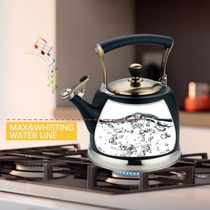 Tea Kettle Stainless Steel Teapot, Stainless Steel Teakettle for Stove Top with Heat Proof Ergonomic Handle 3.0 Quart - color: Black, size: 3 Quarts