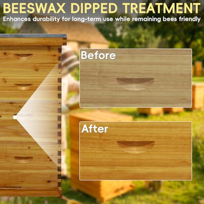 10-Frame Langstroth Bee Hive Beeswax Coated, Complete 4-Layer Beehive Starter Kit Includes 2 Deep Brood Boxes and 2 Medium Super Boxes with Bee Frames and Foundations - size: 4-Layer