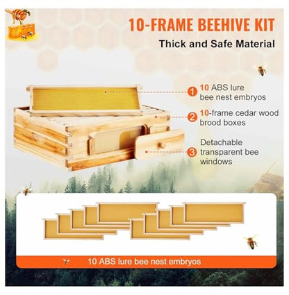 Bee Hive Medium Box Kit - Cedar Wood Langstroth Beehive with 10 Frames, Beeswax Coated, Acrylic Windows - Beginner & Pro Beekeepers