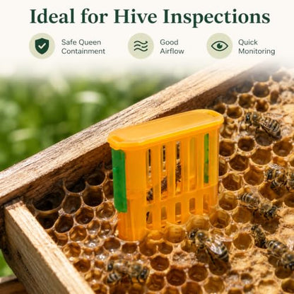 Queen Bee Catcher Cage Plastic Beekeeping Ventilated Clip 10PCS | Queen Bee Catcher Cage, Plastic Beekeeping Clip, Ventilated Design, Secure Grip, Reusable Tool, Set of 10