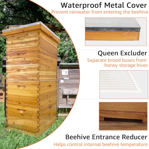 3-Layer Langstroth Beehive Kit with 100% Beeswax Coating – 2 Deep Boxes & 1 Medium Super, No Frames Included – Waterproof & Durable Bee Hive for Beginners (5-Layer)