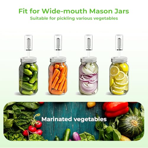 Fermentation Kit for Wide Mouth Mason Jars, 26-in-1 Complete Fermentation Starter Kit with 4 Stainless Steel Lids, 4 Glass Weights, 4 Airlocks, 24 Labels, Long Handle Brush, Silicone Tong & Pounder