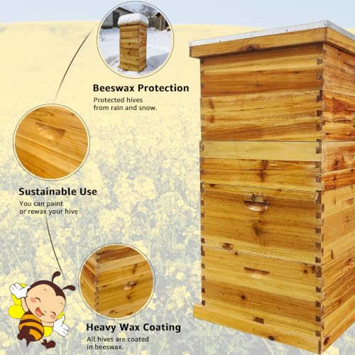 5-Layer Langstroth Beehive Kit, Beeswax Coated Wood Bee Hive with 2 Deep Breeding Boxes and 3 Medium Super Boxes, 10-Frame Standard Wooden Bee House with Waterproof Metal Top, No Frames