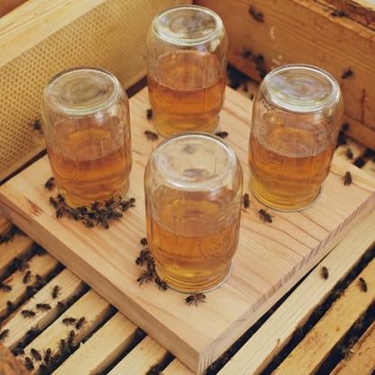 Rtteri 1 Pcs Bee Feeders for Hives with 4 Lids Wooden Honey Mason Jar Beehive Entrance Feeder for Beekeeping Bee Drinking Tools with Lids Drilled Feeding Sugar Syrup or Water (Jars Not Provided) - color: 4 Lids