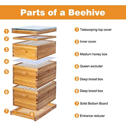 8 Frame Bee Hive Beeswax Coated Complete Beehive Kit Include Frames and Foundation Sheet for Beekeeping Supplies (Unassembled 2 Deep & 1 Medium Bee Boxes) - size: 8F-3Layer