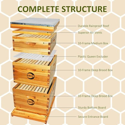 10 Frame Bee Hive Starter Kit with 2 Deep Boxes & 1 Medium Box, Complete Beehive Kit for Beekeepers,Bee Hive Boxes Starter Kit for Bee Keekeepers Langstroth Beehive Kit