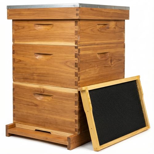 10 Frame Beehive Kit with Beeswax Coated Frames, Complete Langstroth Beehive for Beekeeping, Includes Waxed Foundation, 2 Deep Boxes and 1 Medium Box for Honey Production - size: 10 Frame Beehive Kit