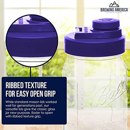 Mason Jar Lids Wide Mouth Plastic 4 pack-USA Made-Flip Cap Screw Top Pour Spout Drink Hole - Leak-proof for Kerr and Ball Canning Jars-Airtight for Drinks to Go and Controlled Pouring-Violet Purple - color: Purple