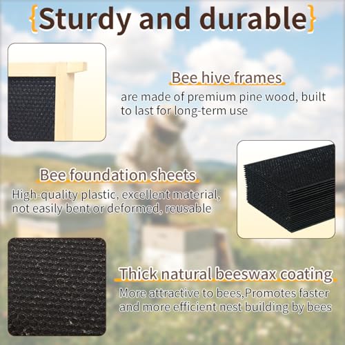 Medium Super Beehive Frames and Wax Foundations, Honey Bee Frames with 100% Beeswax Coated Foundation Sheets, Bee Hive Frame and Foundation 10 Pack