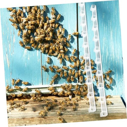 Gatuida 10pcs Plastic Beehive Frame Ends Spacers Bee Raising Tools Beekeeping Equipment Hive Management Accessories for Beehive Spacing and Protection