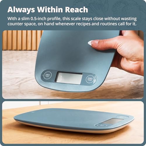 Greater Goods Food Scale – Digital Kitchen Scale, 1g Precision, Easy-Tare & Quick Conversion, Slim Compact Design, Durable & Portable | Ideal for Cooking, Baking & Meal Prep (Stone Blue) - color: Stone Blue