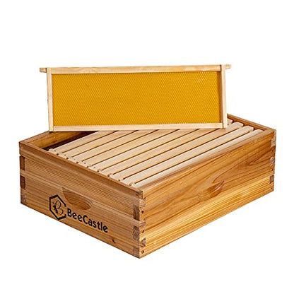 BeeCastle 10 Frame Medium Super Bee Hive Box, Langstroth Honey Bee Hive Dipped in 100% Beeswax Include Beehive Frames and Wax Foundations (Unassembled) - size: 10-Frame