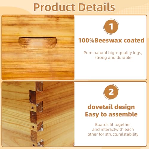 10-Frame Langstroth Deep Brood Bee Hive Box, Dipped in Beeswax, Includes Wooden Frames & Waxed Foundations, Unassembled for Beginner Beekeepers - style: Deep Box