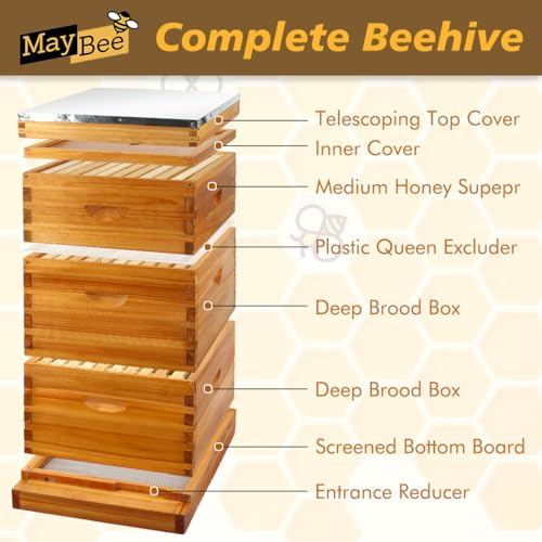 MayBee 10 Frame Screened Bottom Board Beehive Dipped in 100% Beeswax, Bee Hives Kit Includes 2 Deep Boxes & 1 Medium Box with Beehive Frames and Heavy Wax Coated Foundations.Preferred for Summer.