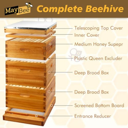 MayBee 10 Frame Screened Bottom Board Beehive Dipped in 100% Beeswax, Bee Hives Kit Includes 2 Deep Boxes & 1 Medium Box with Beehive Frames and Heavy Wax Coated Foundations.Preferred for Summer.