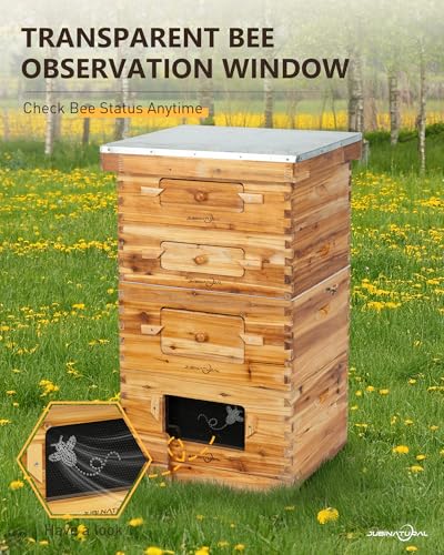 Bee Hive Starter Kit 10 Frame Langstroth Beehive 2 Deep 2 Medium Boxes | 10-Frame Langstroth Hive with 2 Deep Brood Boxes, 2 Medium Honey Supers, 40 Pine Frames and an Observation Window - size: 2Deep+2Madium Bee Box