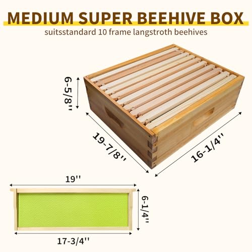 10 Frame Langstroth Medium Super Box Dipped in Beeswax, Bee Hive Box Sections of Wood for Beehives Include Beehive Frames and Wax Foundations, 20 Pack(Green Unassembled) - size: Medium 20pack