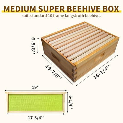 10 Frame Langstroth Medium Super Box Dipped in Beeswax, Bee Hive Box Sections of Wood for Beehives Include Beehive Frames and Wax Foundations, 20 Pack(Green Unassembled) - size: Medium 20pack