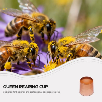 Kichvoe Queen Rearing Cupsk, 2000 Pack Plastic Bee Breeding Cups for Queen Cell Rearing Bee Grafting Tool for Beekeeping Supplies Apiary Management Indoor and Outdoor Use