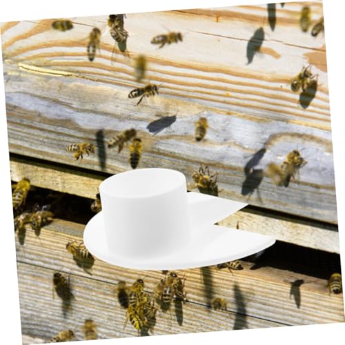 10pcs Bee Water Feeding Tools for Garden Beehive Durable Bee Feeders for Water Station for Accessories