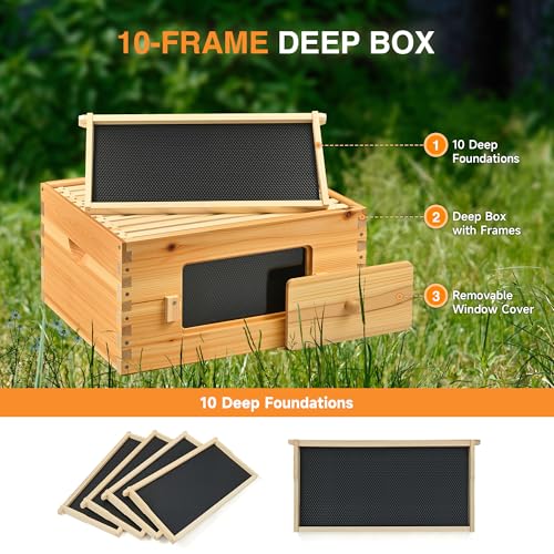 CREWORKS 10 Frame Bee Hive Box, Langstroth Beehive Deep Box with Frames & Foundations, Beeswax Coated Brood Bee Box for Bee Keeper, Beekeeping Supplies with Transparent Acrylic Window - style: 1 Layer