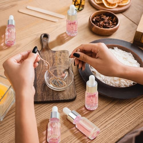 Didaey 100 Pcs 1/2/3/5/10/15 ml Mini Glass Oil Dropper Bottle Bulk, Clear Essential Small Empty Bottles Sample Containers Perfume Liquid Vials with Cap for Traveling (10 ml,Classic Silver) - color: Classic Silver, size: 10 ml